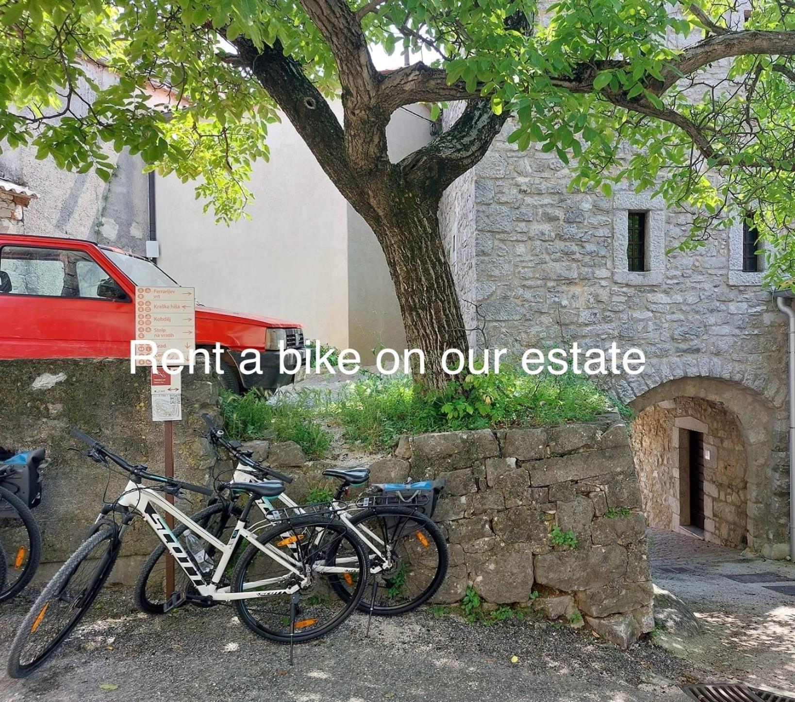 Zenja - Nature Property - Garden - Parking Yard Divača Exterior foto